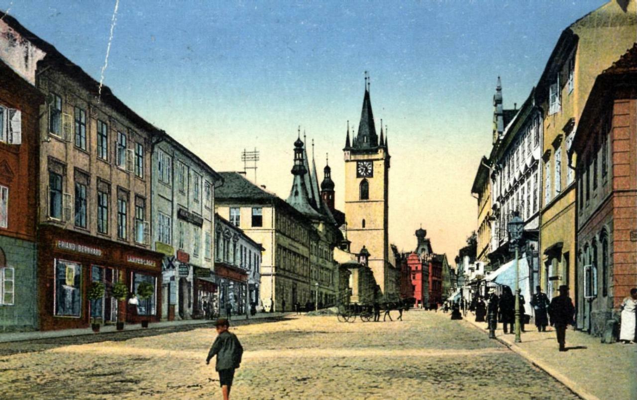 شقة U Svate Ludmily Litoměřice المظهر الخارجي الصورة